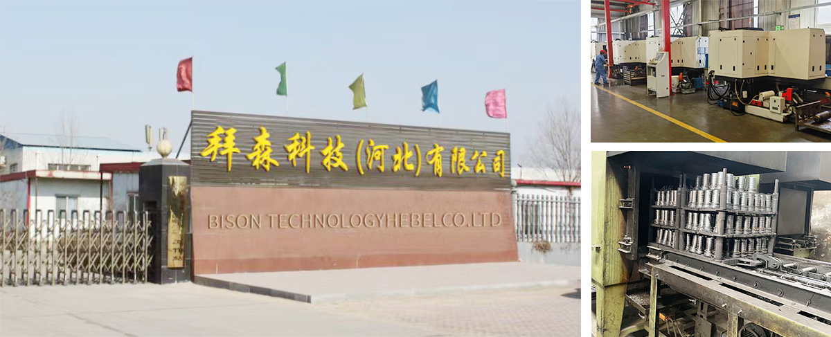 Bison Technology Hebei Co., Ltd