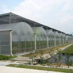 Arch Greenhouse