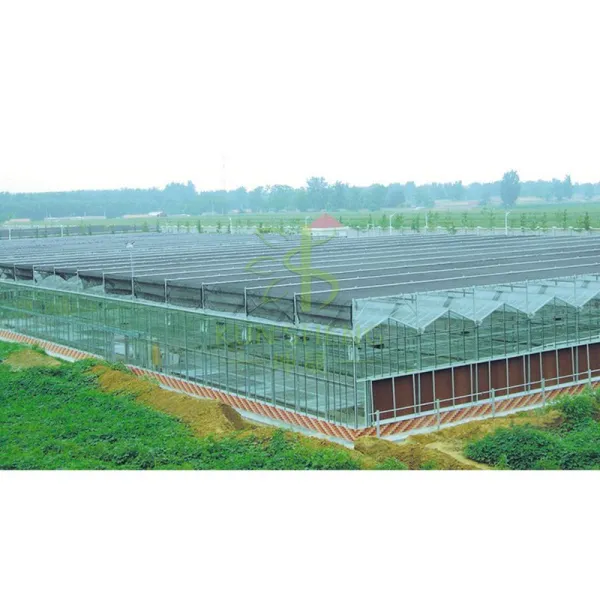 Commercial Glass Greenhouses