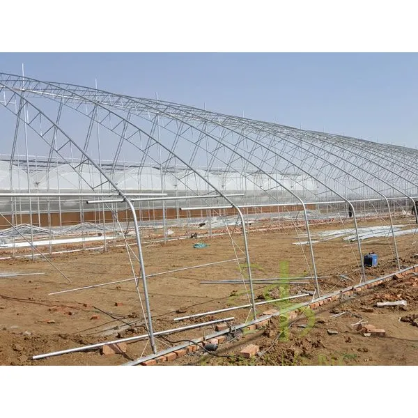 Natural Ventilation Greenhouse