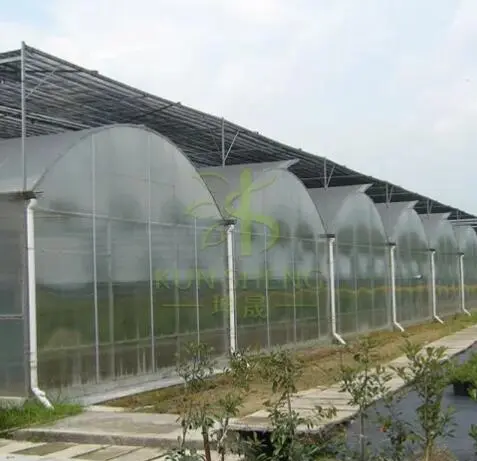 Multi-span greenhouses