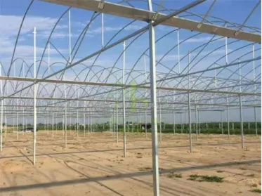 Embracing Efficiency and Yield with Multi-Span Greenhouses