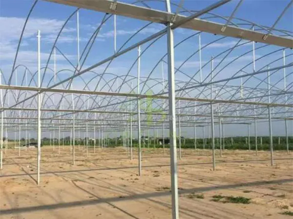 Embracing Efficiency and Yield with Multi-Span Greenhouses