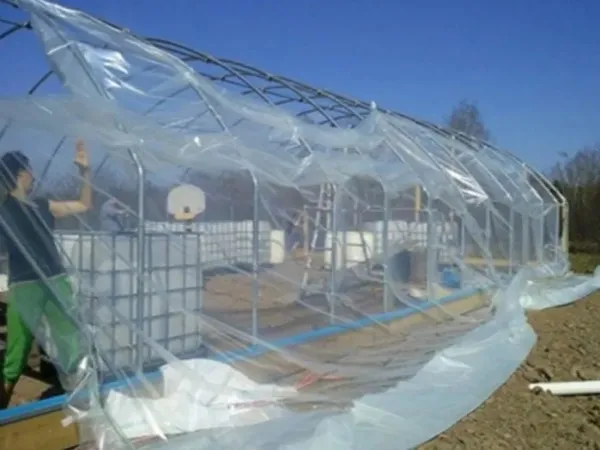 High Tunnel Vs. Greenhouse: Which Is Right For You?