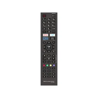 Universal Remote Control RC53A