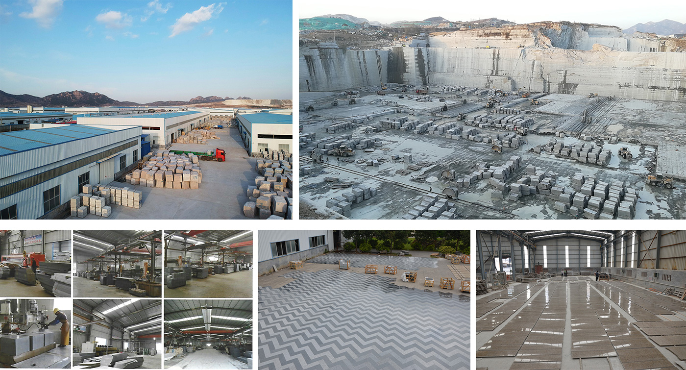Xiamen Chengxinrun Imp ＆Exp Co., Ltd