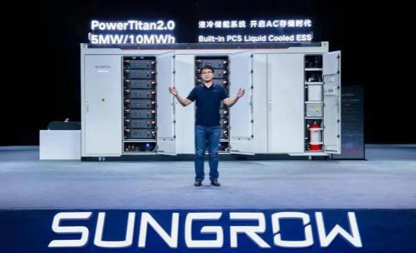 The globalization of China's new energy storage industry will enter a stage of large-scale development