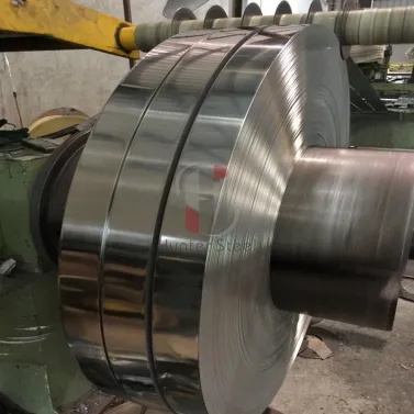 Electro-galvanized Steel Strip