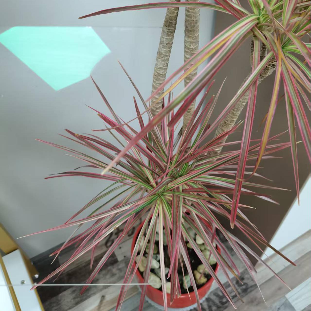 Breakthrough in Anti-Reflective Glass Technology: Clearer Screens and More Efficient Energy Usage