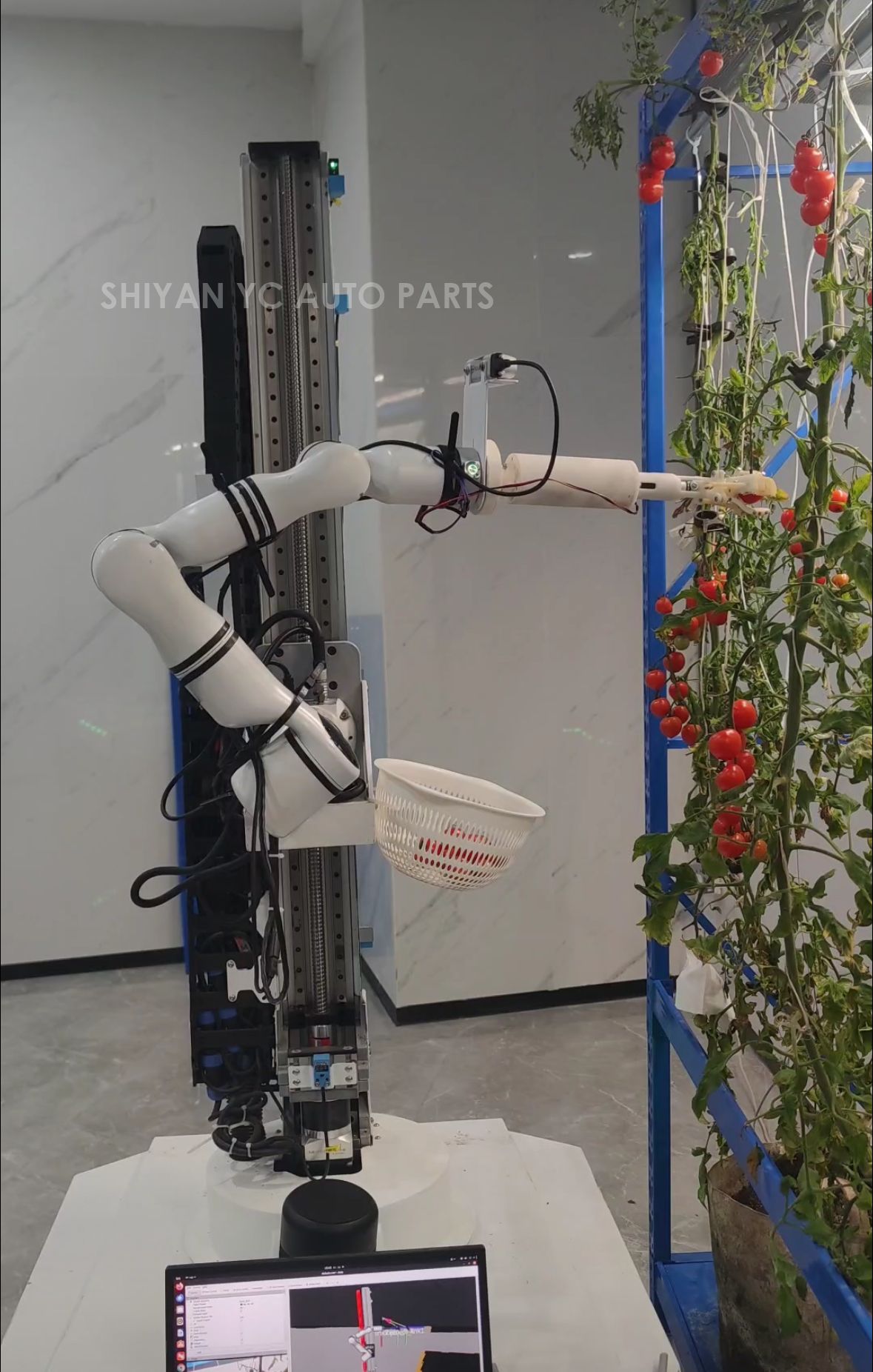 Global agriculture opens in Hefei