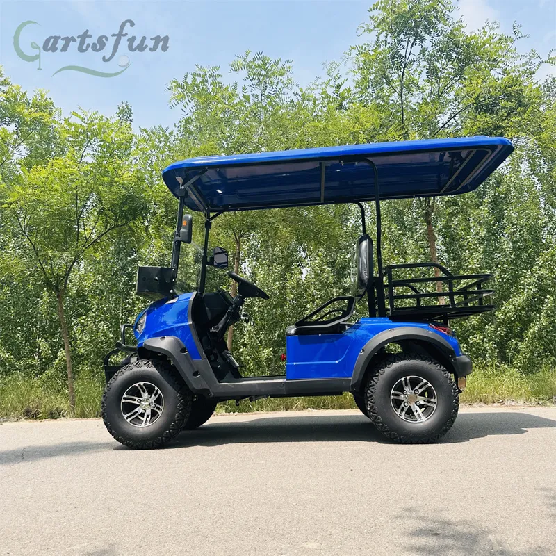 2 seat golf cart,2 passenger Off,road Golf Cart