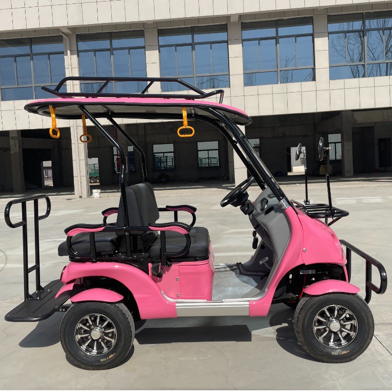 2 seater golf cart,2 Seater Mini Golf Carts for Sale