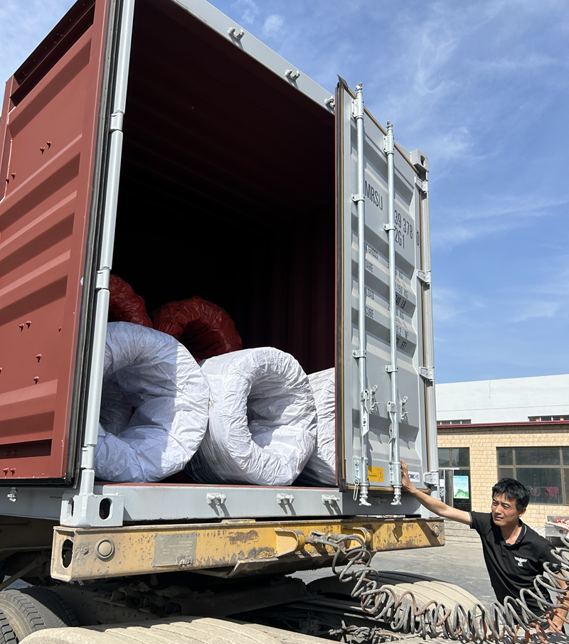 RS Wall Wire Delivery to Philippines