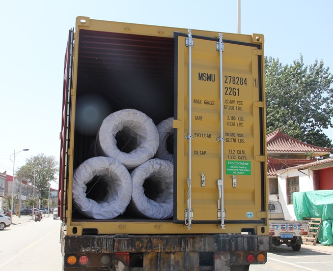 Soft and Hard Gavanized Wire Deliver to Poland