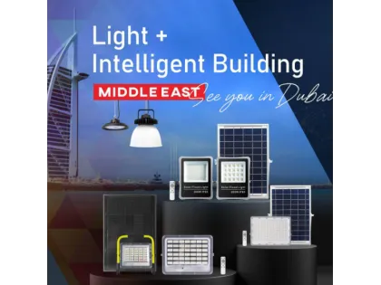 Foshan Heshi Lighting Shines Bright at the 2024 Dubai Light + Intelligent Building Exhibition