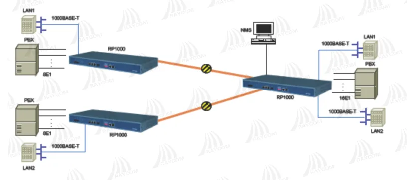 RP1000 Gigabit Ethernet and 16 E1s to optical fiber multiplexer