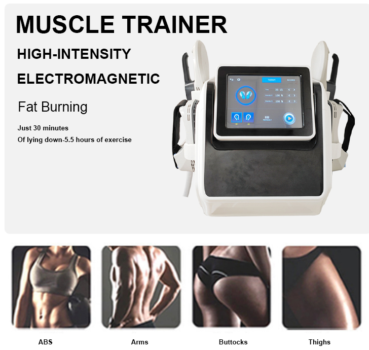 Ems Fitness Machines