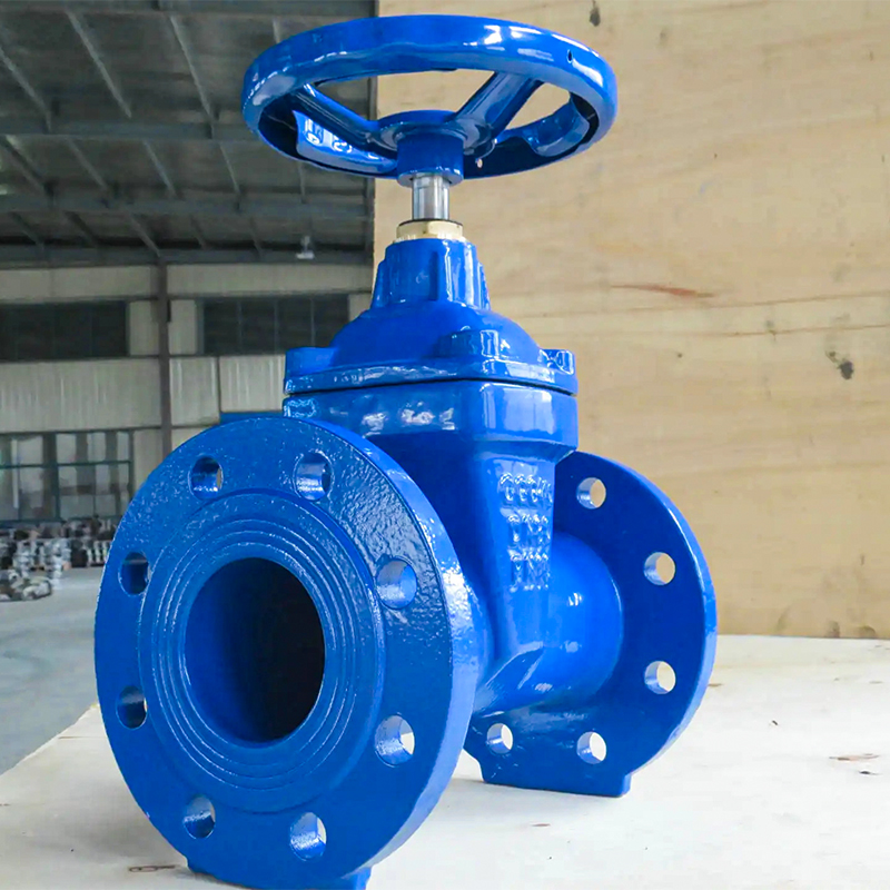 Non Rising Stem Gate Valve