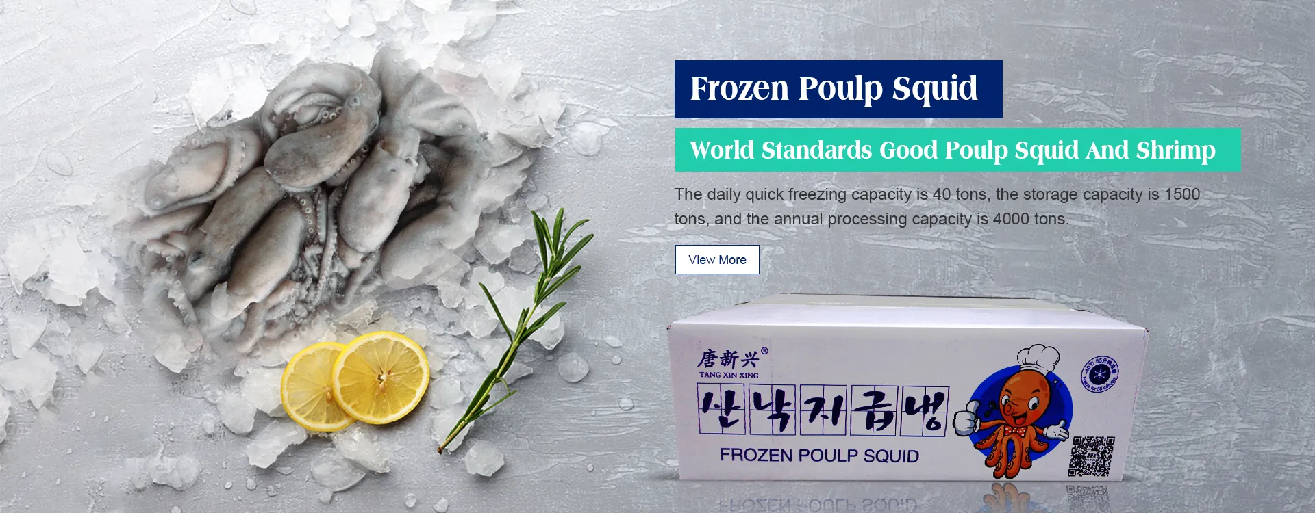 Frozen Poulp Squid Exporter