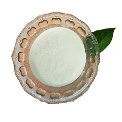 CAS 2809-21-4 Water Treatment