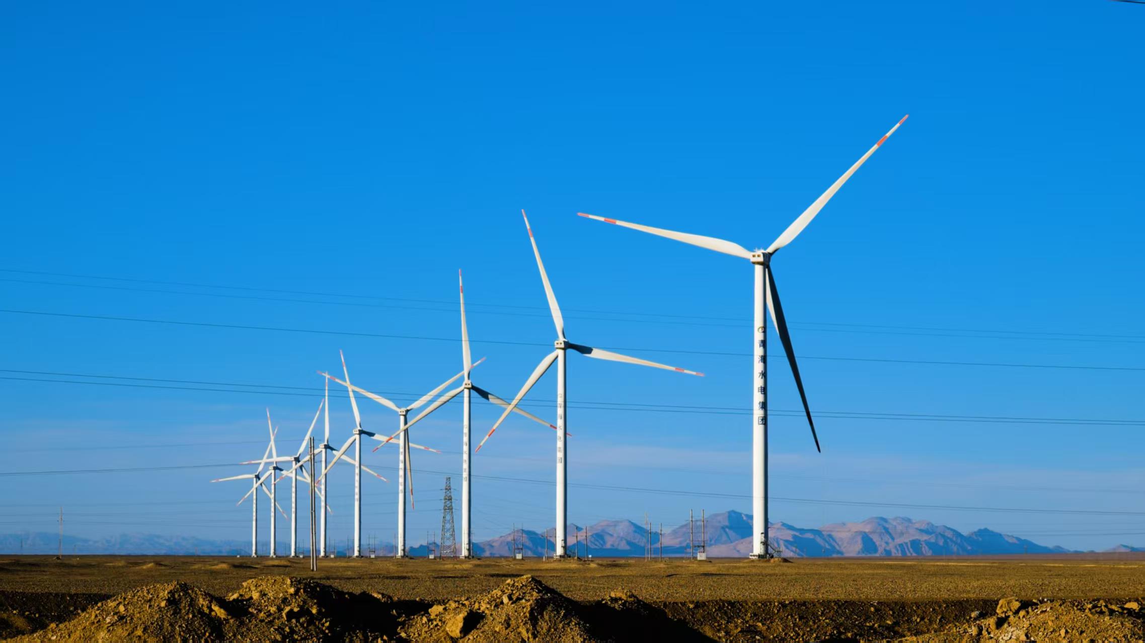 Qingdao Grace International Trade Company Actively Participates in Wind Power Projects to Drive Green Energy Development