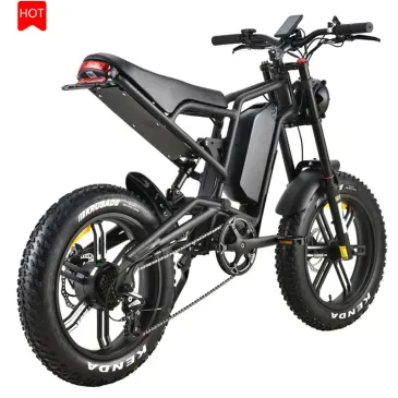 High Speed 750W/1000W Motor Fat Tire Electric Bicycles