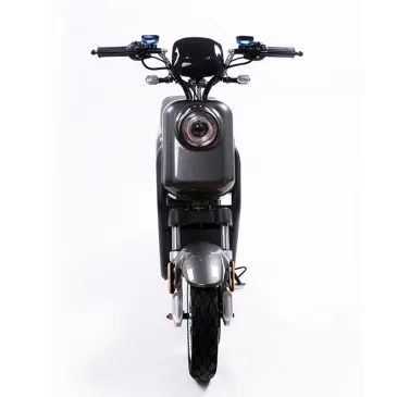 1000W Electric Moped Bike for Adults High Speed 45Km/h