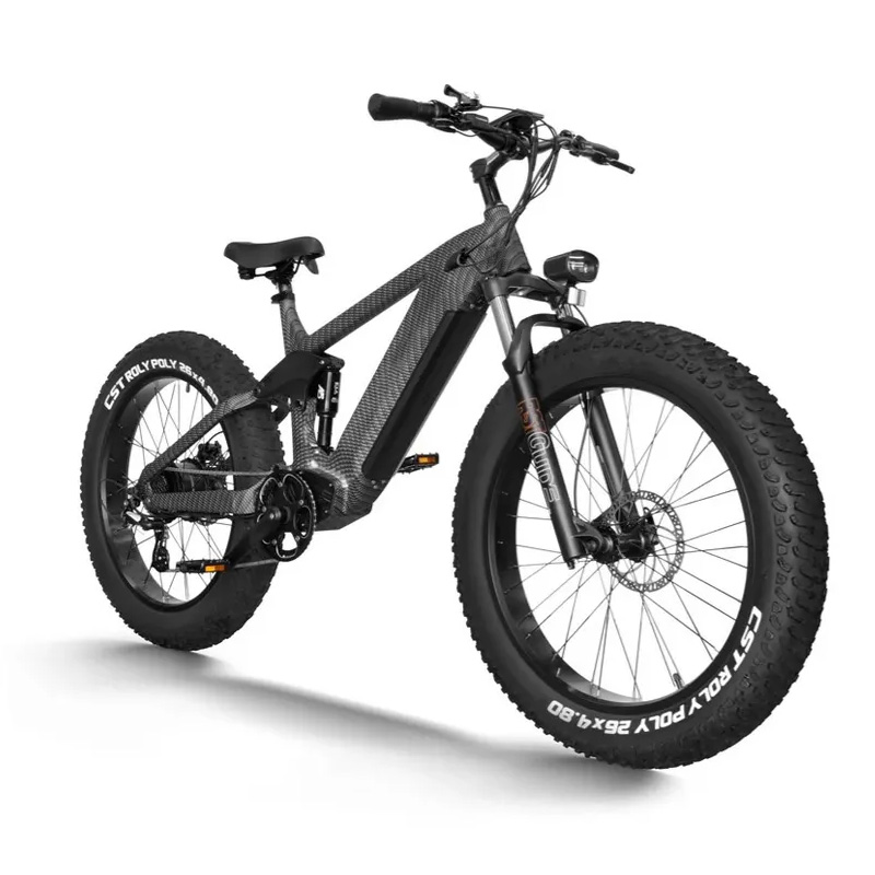 10 Speed Electric Bicycle,e bike 1000w