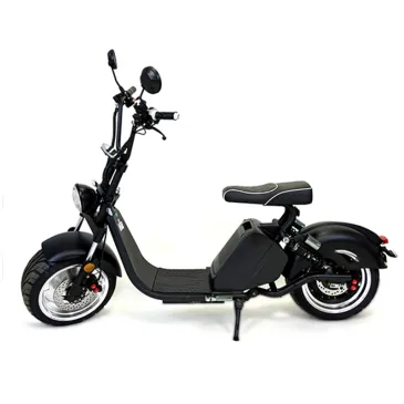 1500W /3000W 20AH for Electric City Motorcycle 13 INCH Fat Tire