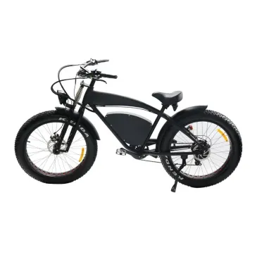 Adult 500w/750w High Range Motor E-Bike Fat Tire Ebike