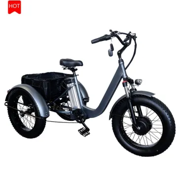 Adult 20 inch Fat Tire Electric Trikes 500W Multi Load Three-Wheel Bicycle 45km/h Electric Trike with CE