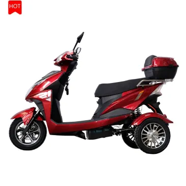 14 inch Electric Tricycle Bicycle 350W 3 Wheel Electric Bike 45km/h Etrike for Adults