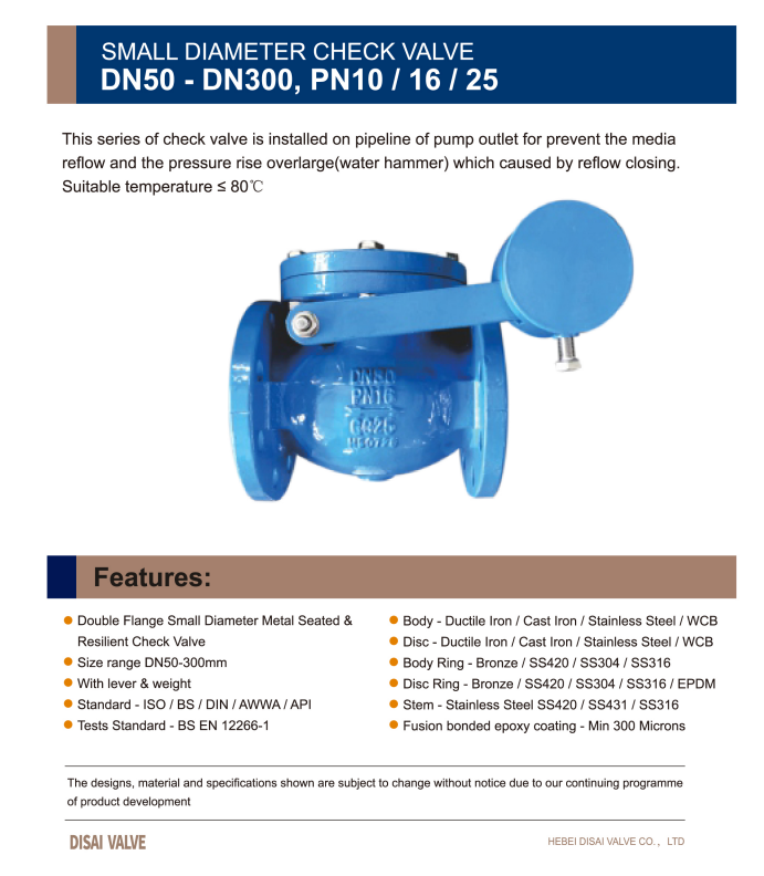 Swing Check Valve With Lever And Weight