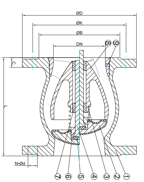 Nozzle Type Check Valve