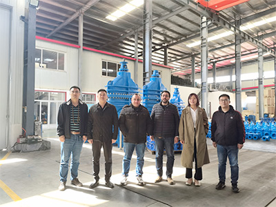 Welcome Egyptian customers to visit our factory