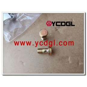 hollow bolt 01119243 for weichai