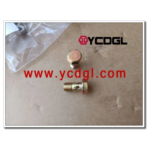 hollow bolt 01119243 for weichai