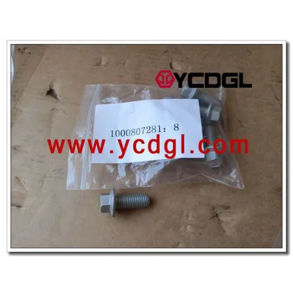 Oil filter bolt 1000807281 for weichai