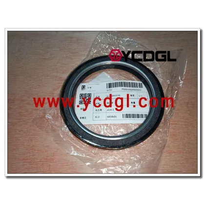 Front Crankshaft oil seal 612630010106