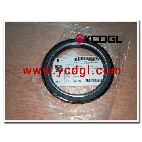 Front Crankshaft oil seal 612630010106