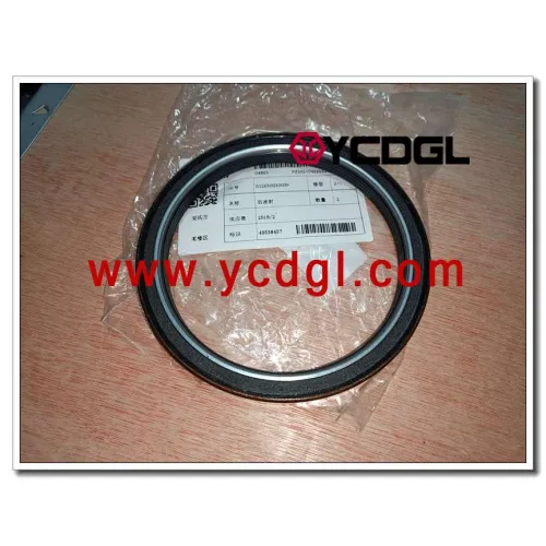 Cranshaft oil seal 612630030009