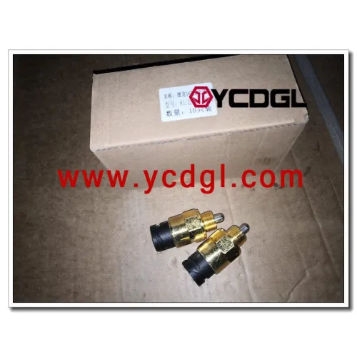 pressure switch 811W25503-0244 81.25503.0244