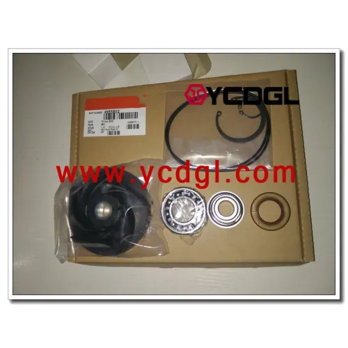 Water Pump Repair Kit 4955802 for CUMMINS