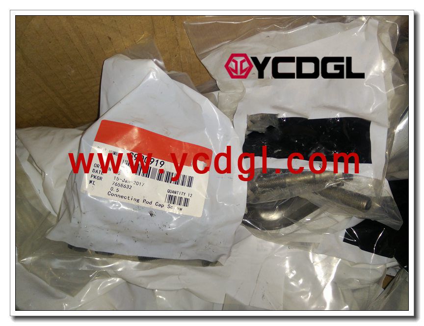 3900919 connecting rod bolt
