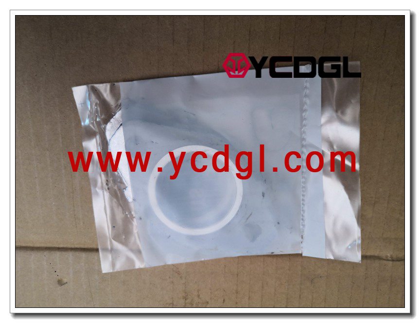 3946275 Exhaust pipe gasket