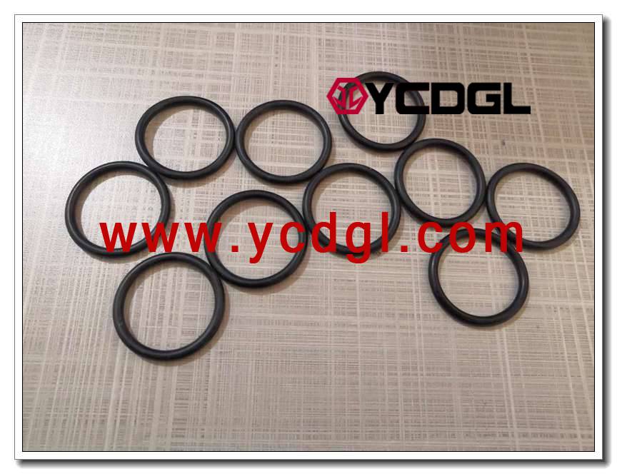 10B0013 Seal ring