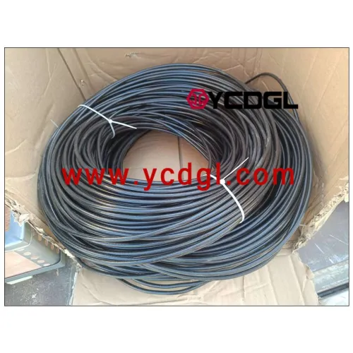 10-core cable