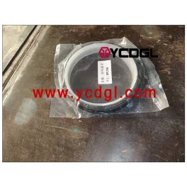 Rear crankshaft oil seal 3973745