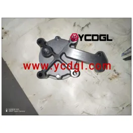 Oil Pump WG2203240066