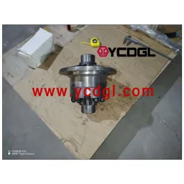 Differential Assembly T-956.6A.1CSQ